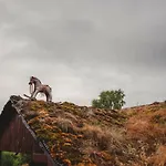 Séjour chez l'habitant Z Gwarantowanym Widokiem Na Gory Aleksander Panorama *