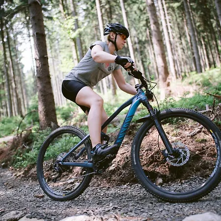 ホームステイ Willa Z Gwarantowanym Widokiem Na Gory Aleksander Panorama *