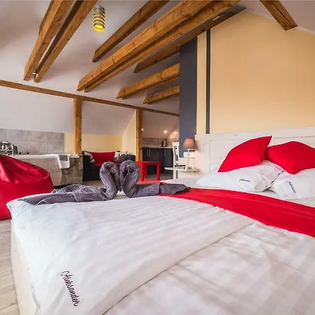 Z Gwarantowanym Widokiem Na Góry Aleksander Panorama * Świeradów-Zdrój