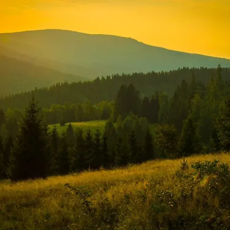 Homestay Willa Z Gwarantowanym Widokiem Na Gory Aleksander Panorama