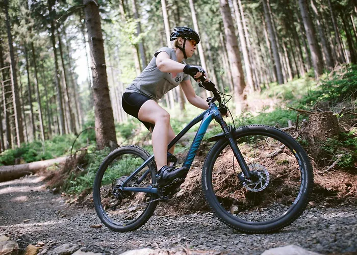 ホームステイ Willa Z Gwarantowanym Widokiem Na Gory Aleksander Panorama *