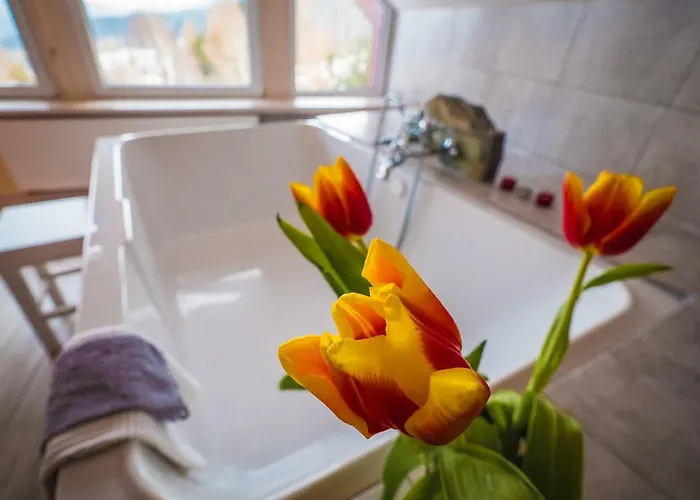 ホームステイ Willa Z Gwarantowanym Widokiem Na Gory Aleksander Panorama