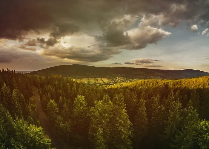 Willa Z Gwarantowanym Widokiem Na Gory Aleksander Panorama Świeradów-Zdrój