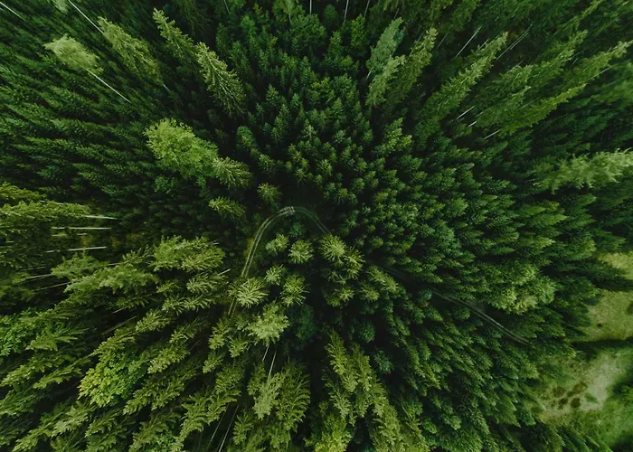 Willa Z Gwarantowanym Widokiem Na Gory Aleksander Panorama *